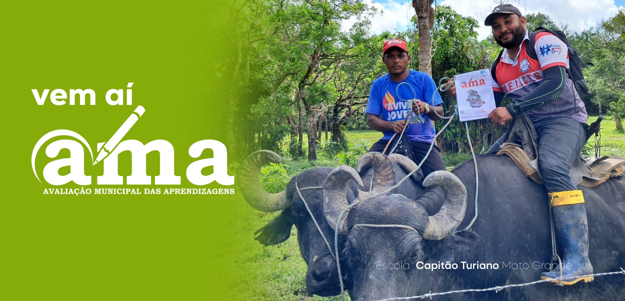 Vem aí ama